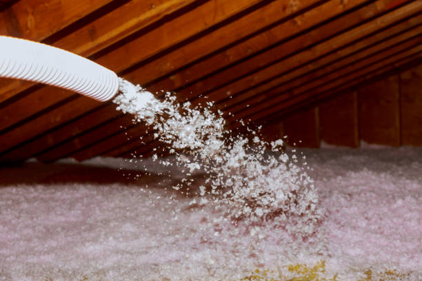 Best Crawl Space Insulation  in Leesburg, OH